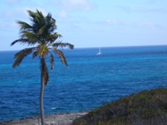 Berry Island